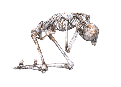 skeleton-1940283_960_720.png